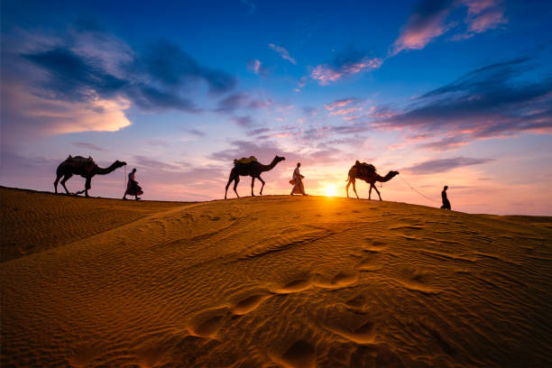 Best Time to Visit Rajasthan: A Month-by-Month Weather & Festival Guide
