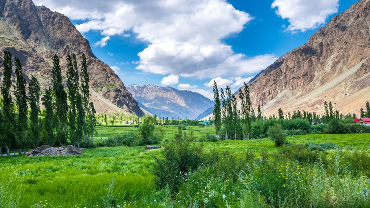 Suru Valley: Ladakh's Most Underrated Green Paradise