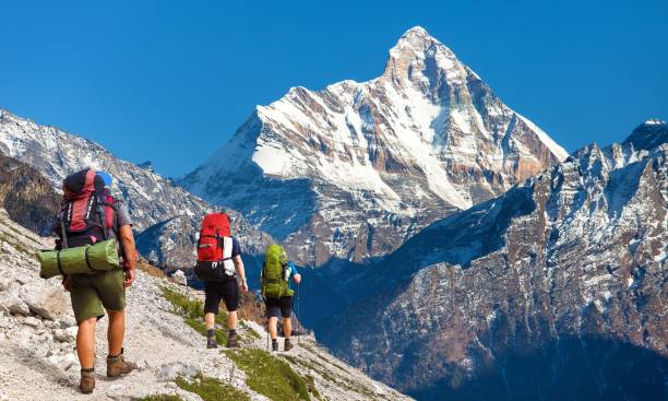 Famous Treks in Himachal: Top Trails for Beginners & Experts 