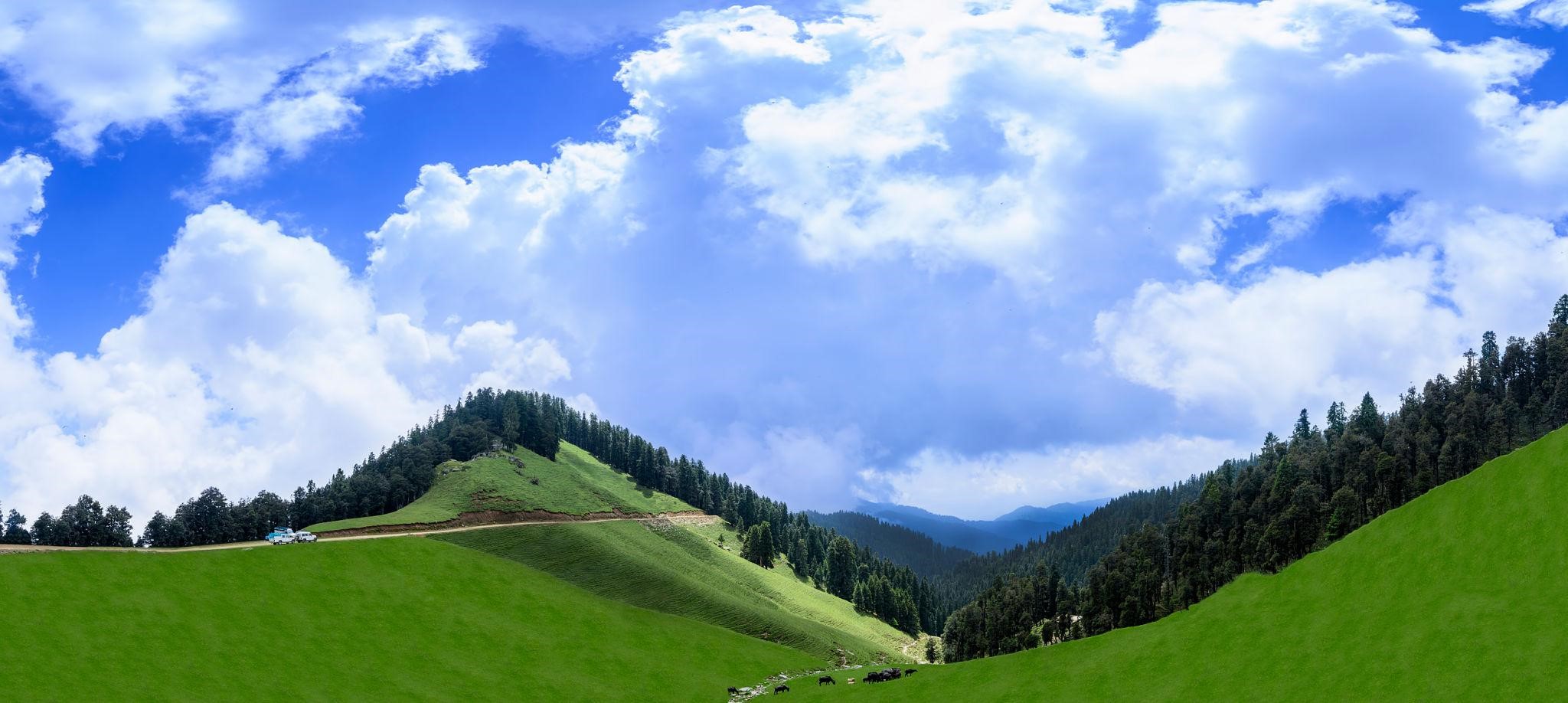 Janjehli Valley: Explore the Hidden Gem of Himachal Pradesh