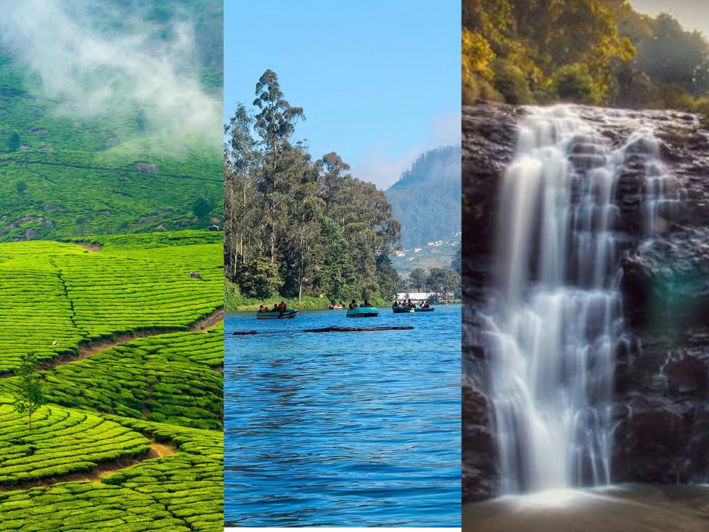 Munnar vs Ooty vs Coorg: Which Hill Station is Best to Visit?