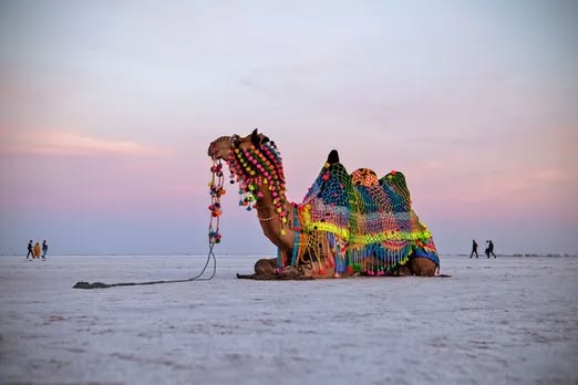 Ahmedabad to Rann of Kutch Road Trip: Route, Distance & Itinerary