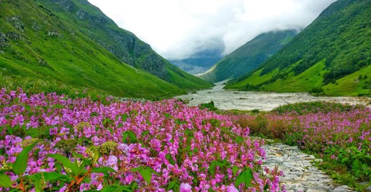 Valley of Flowers Uttarakhand: Routes, Permits & Best Time to Visit