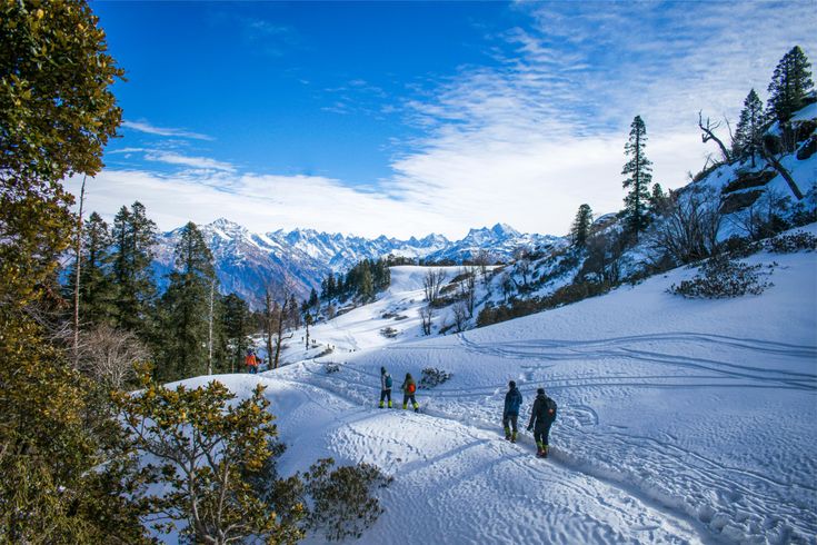 Kedarkantha Trek Complete Guide: Route, Cost & Difficulty