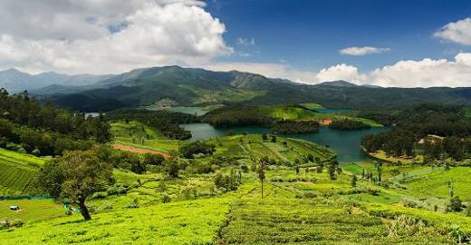 20 Best Hill Stations in South India for a Refreshing Getaway