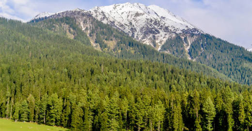 Offbeat Kashmir Destinations: Famous Hidden Valleys to visit in Kashmir