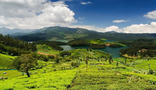 20 Best Hill Stations in South India for a Refreshing Getaway