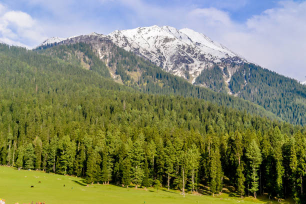 Offbeat Kashmir Destinations: Famous Hidden Valleys to visit in Kashmir