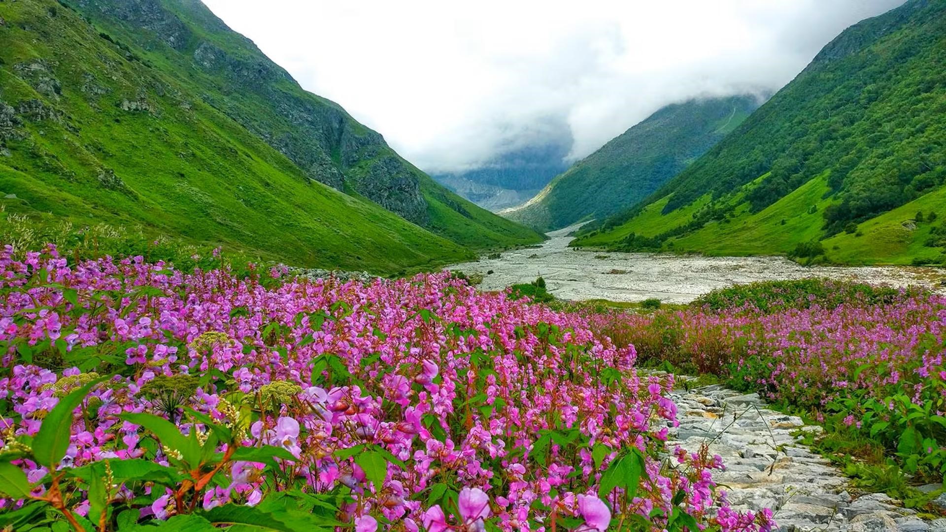 Valley of Flowers Uttarakhand: Routes, Permits & Best Time to Visit