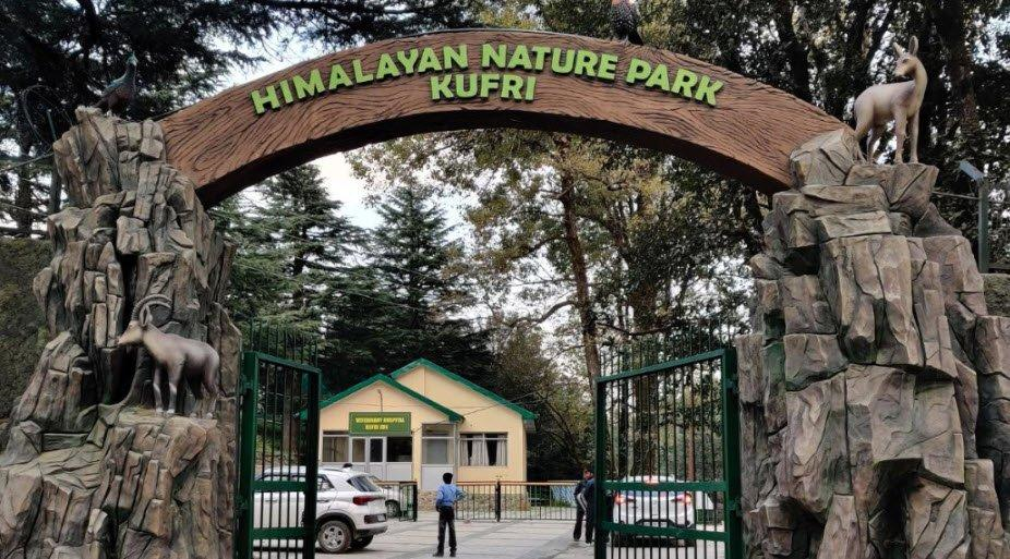 Kufri Beyond Snow: 10 Things to Do That Are Actually Worth Your Time