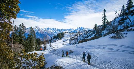 Kedarkantha Trek Complete Guide: Route, Cost & Difficulty