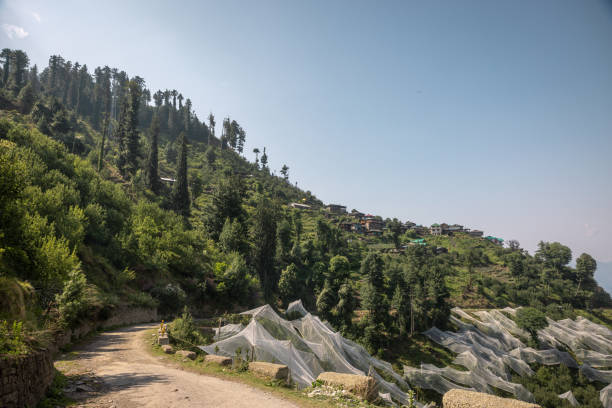 15 Best Himachal Weekend Getaways from Delhi for a Quick Escape