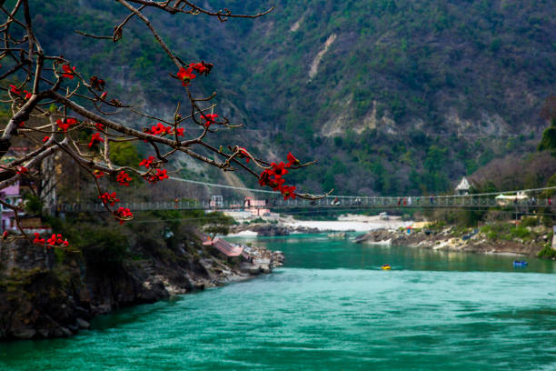 Best Time to Visit Uttarakhand: A Month-by-Month Guide for Treks, Snow & Festivals