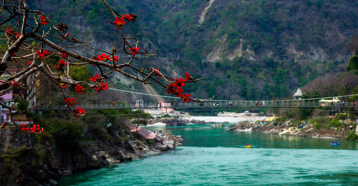 Best Time to Visit Uttarakhand: A Month-by-Month Guide for Treks, Snow & Festivals