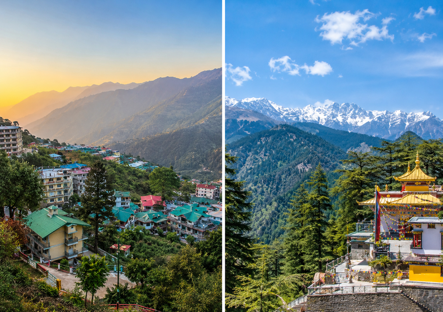 Dharamshala vs McLeod Ganj: Differences, Stay Options & What to Expect