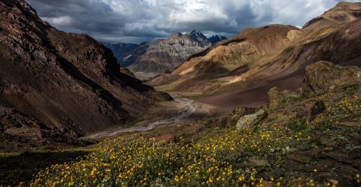 How to Avoid Altitude Sickness in Spiti Valley: Complete Travel Guide