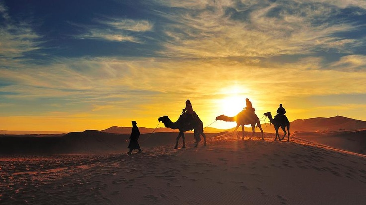 Best Desert Safari Experiences in Rajasthan: Jaisalmer, Bikaner & Osian Compared
