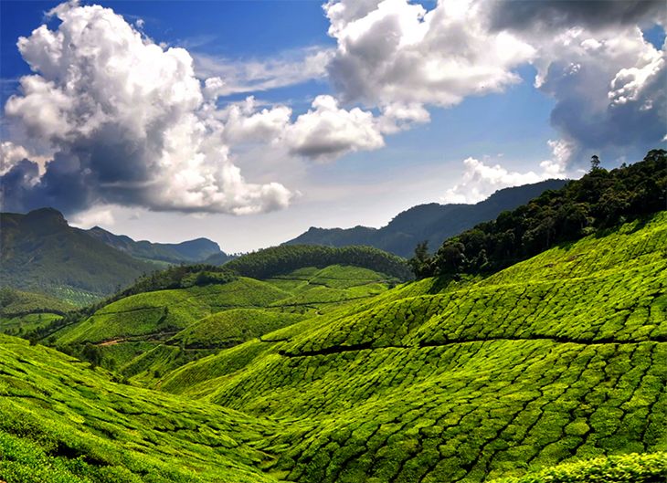 21 Best Places to Visit in India During the Monsoon Season