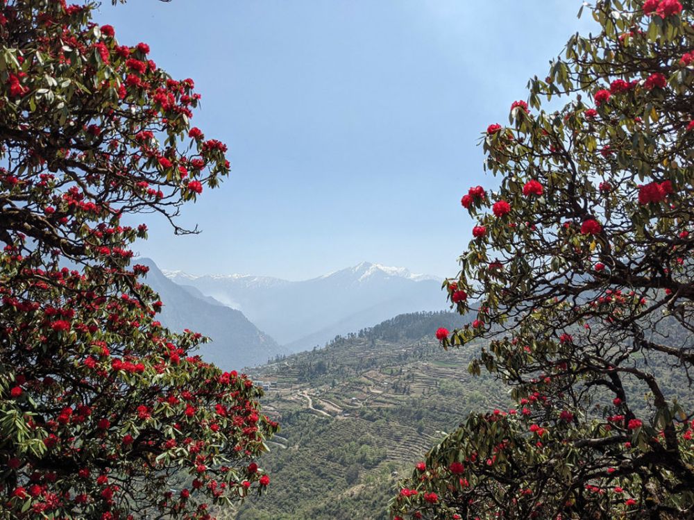 Raithal Travel Guide: Uttarkashi's Hidden Himalayan Village