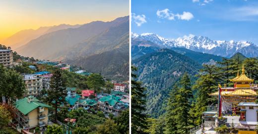 Dharamshala vs McLeod Ganj: Differences, Stay Options & What to Expect