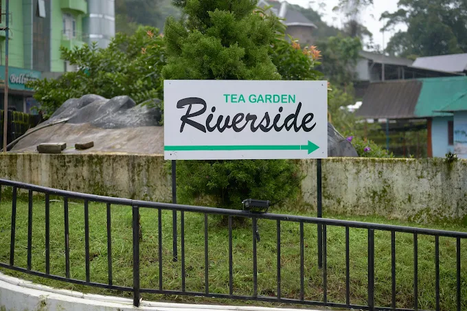 Tea Garden Riverside Image 1