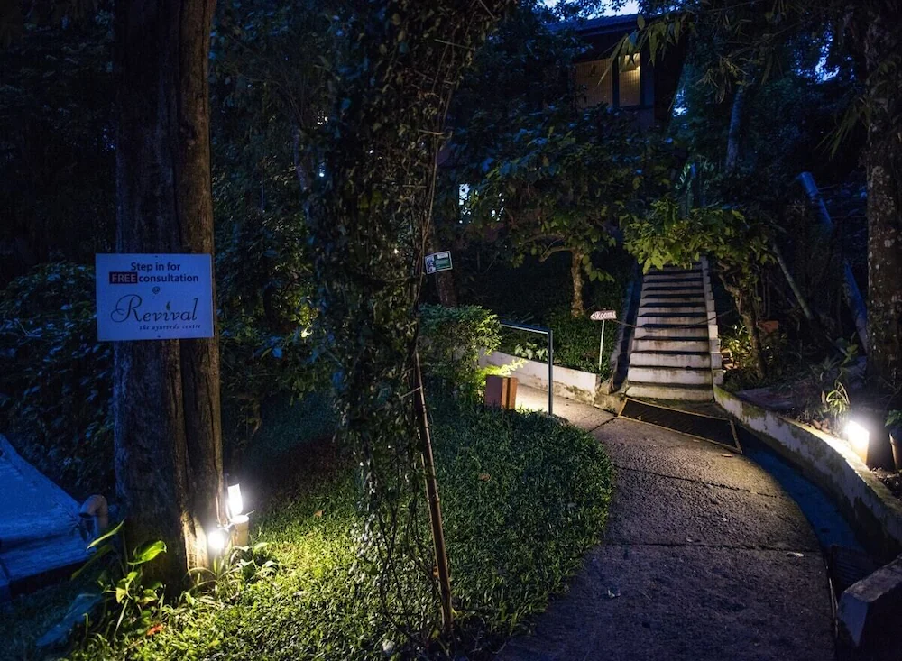 Abad Green Forest Image 1