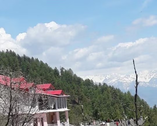 Majestic Himalayan homestay Image 1