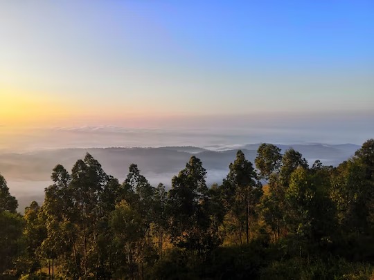 Veu Munnar Retreat Image 3