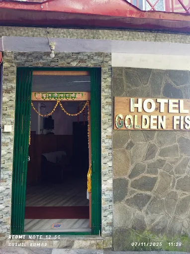 Hotel Golden Fish Image 4