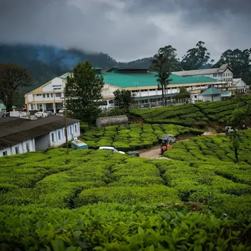 Tea Garden Riverside Image 3