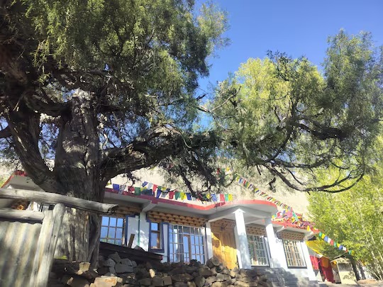 Aama Homestay Image 1