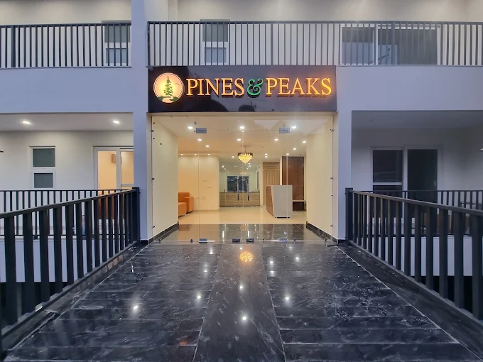 Pine & Peeks