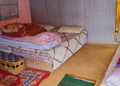 Samsong Camp Chandratal