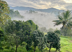 Hotel Velvet Revive Munnar Image 3