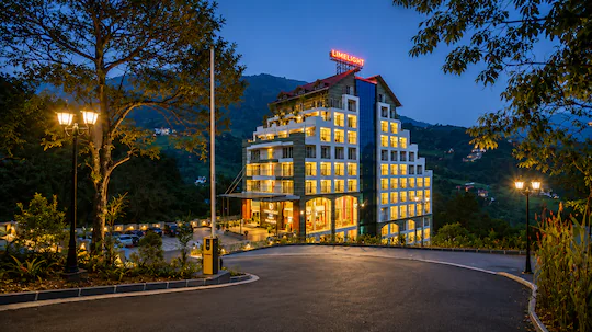 Golden Munnar Palace By Hawk Hospitality Image 1