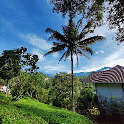 Hotel Velvet Revive Munnar Image 4