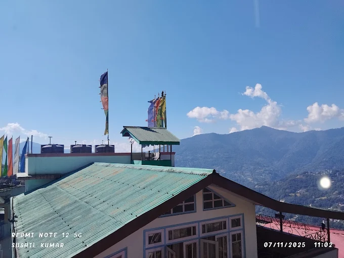 Hotel Golden Fish Image 3