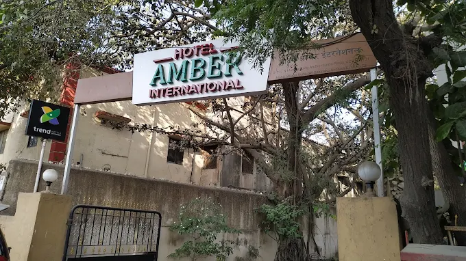 Treebo Amber International Mumbai Image 4