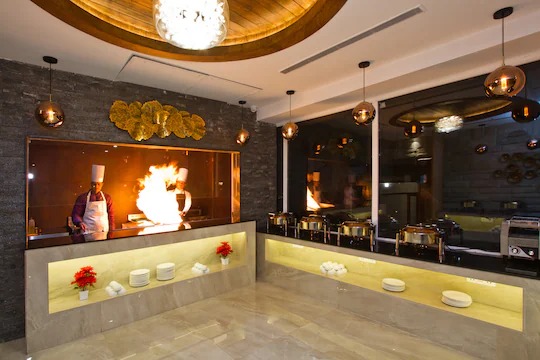 The WhiteStone Resort,Manali (Centrally Heated Mountain view)