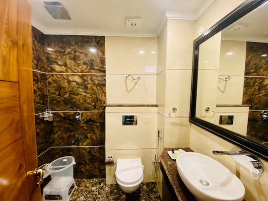 Hotel De Park Shimla