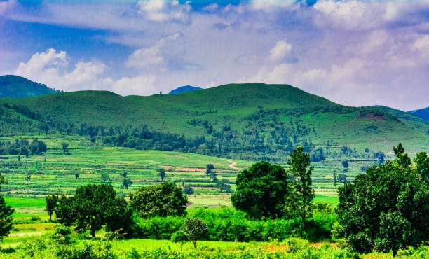 Araku Valley & Borra Caves Tour Package 3 Nights/ 4 Days 