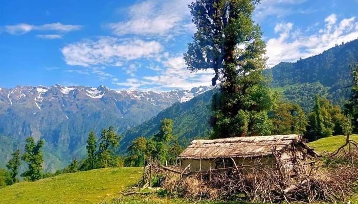 Munsiyari Offbeat Tour Package 4 Nights/ 5 Days