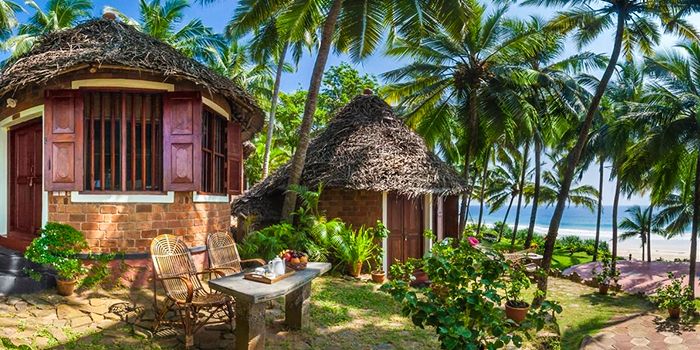 Kerala Wellness and Ayurveda Retreat Tour