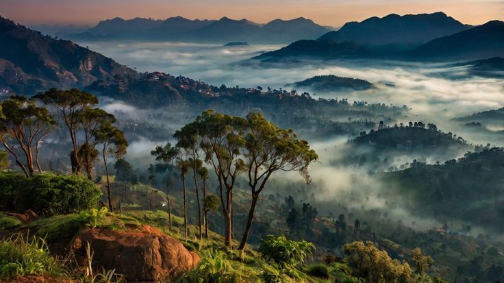 Kodaikanal Tour Package from Hyderabad 3 Nights/ 4 Days 
