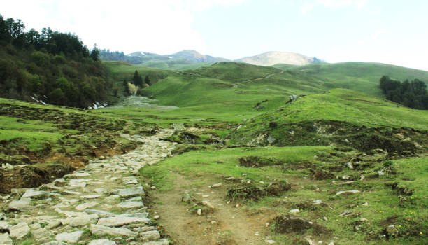 Dalhousie Dainkund Trek Package 2 Nights/ 3 Days