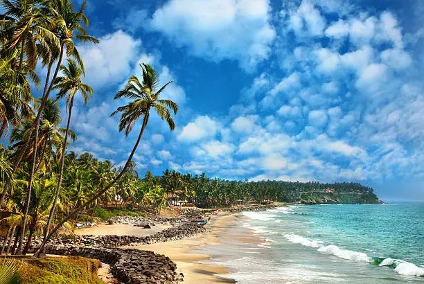 Varkala Beach Escape: 2 Nights, 3 Days Tour