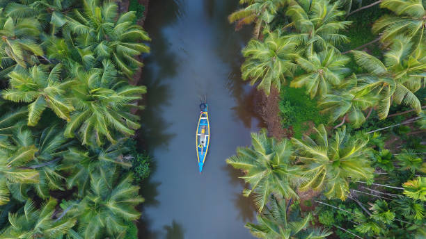 Kochi and Kovalam Beach Tour Package 3 Nights / 4 Days