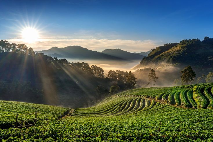 Kerala Tour Packages from Bangalore 5 Nights/ 6 Days