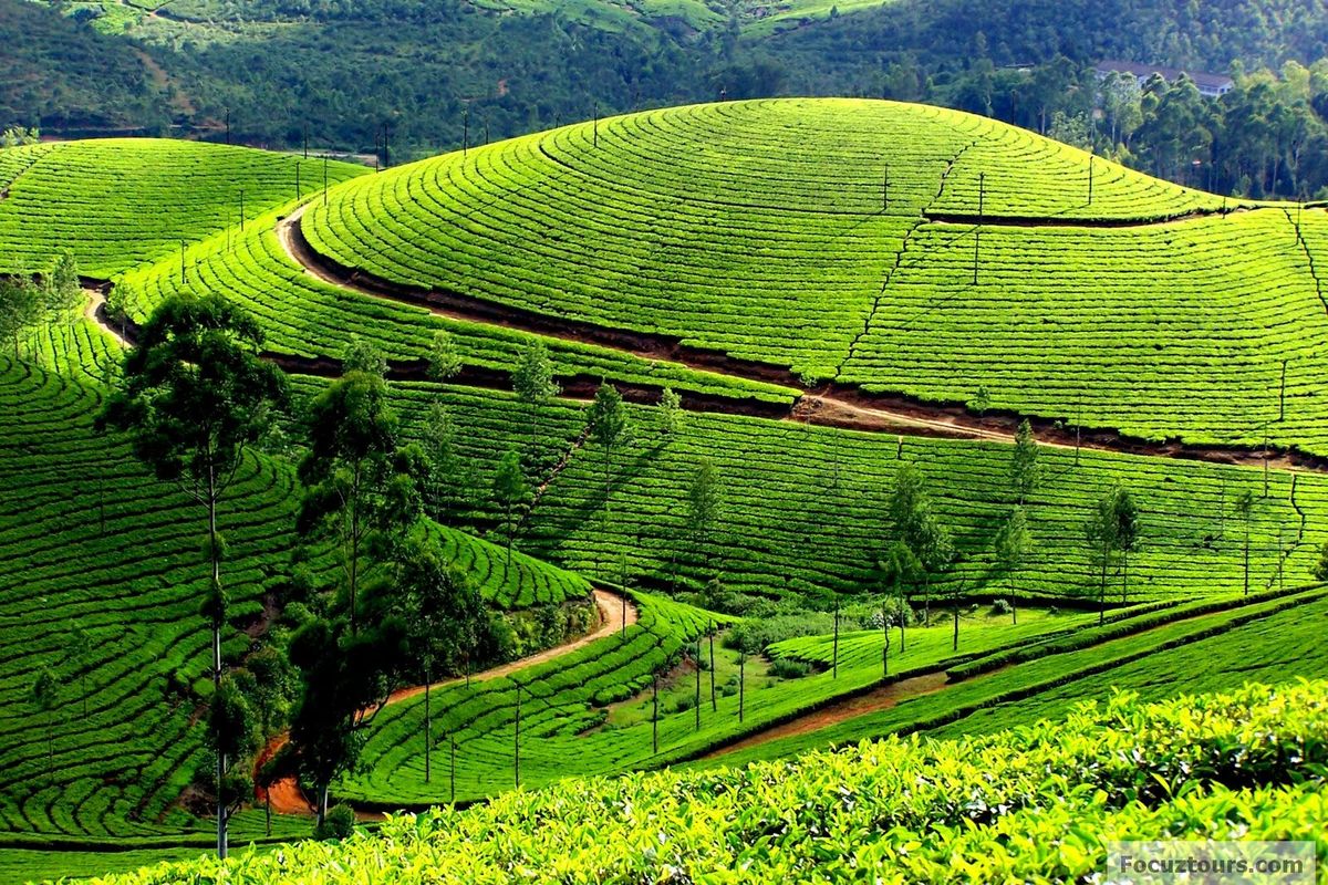 Kerala Tour Package from Kolkata 5 Nights/ 6 Days