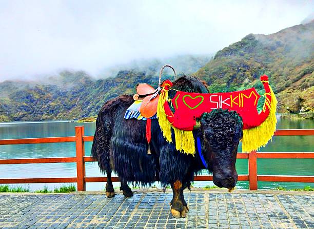 Full Sikkim Discovery Tour Package 8 Nights/ 9 Days